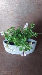 Pot fleurs en fibro-ciment. NEUF, Nieuw, Ophalen