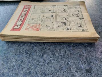 Lot Kapoentje 1961 beschikbaar voor biedingen
