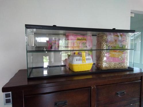 Gerbilarium - terrarium voor gerbils met toebehoren, Dieren en Toebehoren, Knaagdieren en Konijnen | Hokken en Kooien, Gebruikt