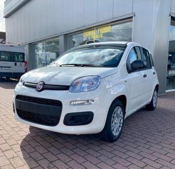 FIAT PANDA TE KOOP beschikbaar voor biedingen