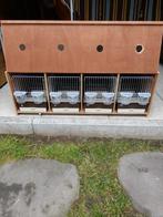 Transportkooi met 4 zangkooien.(ongebruikt)., Ophalen, Zo goed als nieuw