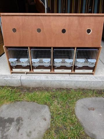 Transportkooi met 4 zangkooien.(ongebruikt). beschikbaar voor biedingen