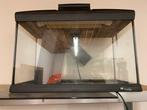 Aqarium 40x30, Dieren en Toebehoren, Reptielen en Amfibieën | Toebehoren, Ophalen, Gebruikt