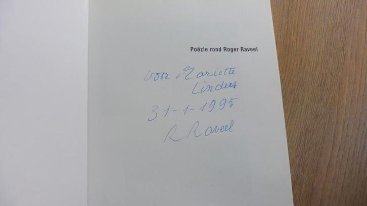 Roger raveel, Boeken, Kunst en Cultuur | Beeldend, Nieuw, Grafische vormgeving, Ophalen of Verzenden