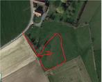 Weide te huur, Dieren en Toebehoren, Stalling en Weidegang, Weidegang