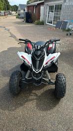 Mooie goeie jamaha raptor 90 cc, Motoren