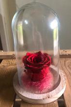 🌹 Rose éternelle rouge 🌹 🎁 Idée cadeaux 🎁, Enlèvement, Neuf