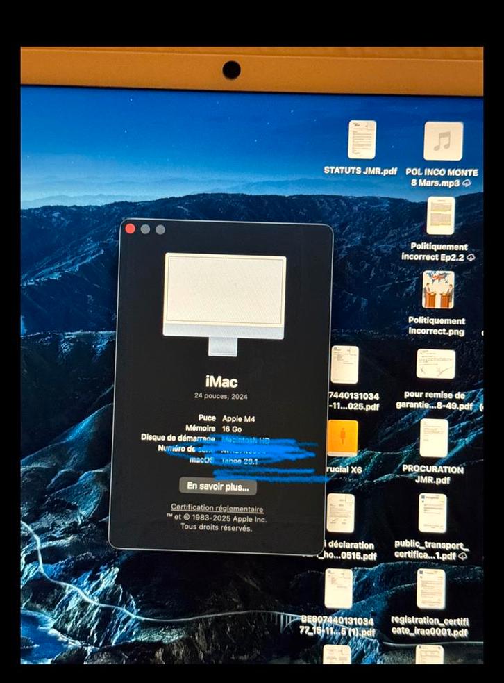 iMac M4 bleu, 2024, 16gb et 256gb, Computers en Software, Apple Desktops, Zo goed als nieuw, iMac, Ophalen of Verzenden