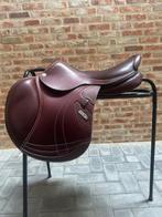 Splinternieuwe CWD 2 Gs Mademoiselle, Ophalen, Nieuw, Springen