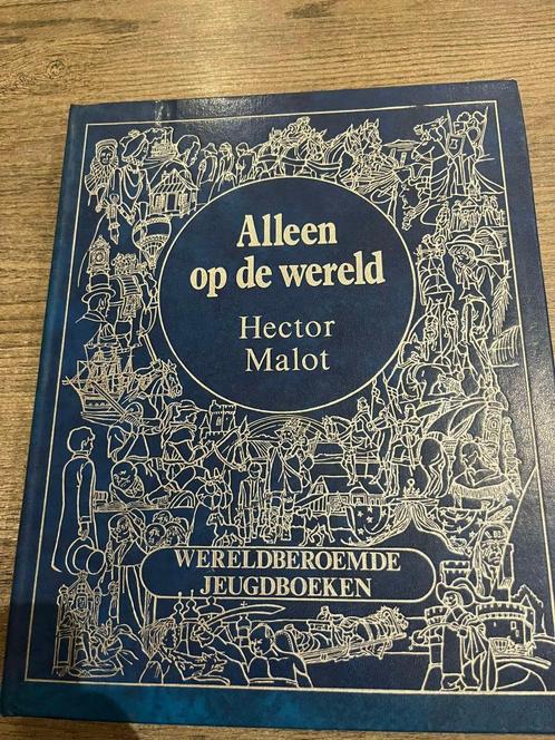 Alleen Op De Wereld Hardcover, Boeken, Literatuur, Zo goed als nieuw, Europa overig, Ophalen of Verzenden