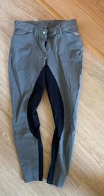 Eurostar rijbroeken, Dieren en Toebehoren, Ophalen of Verzenden, Nieuw, Dames, Onderkleding