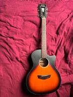 12 snaar gitaar van D’Angelico + statief, Muziek en Instrumenten, Ophalen of Verzenden, Zo goed als nieuw