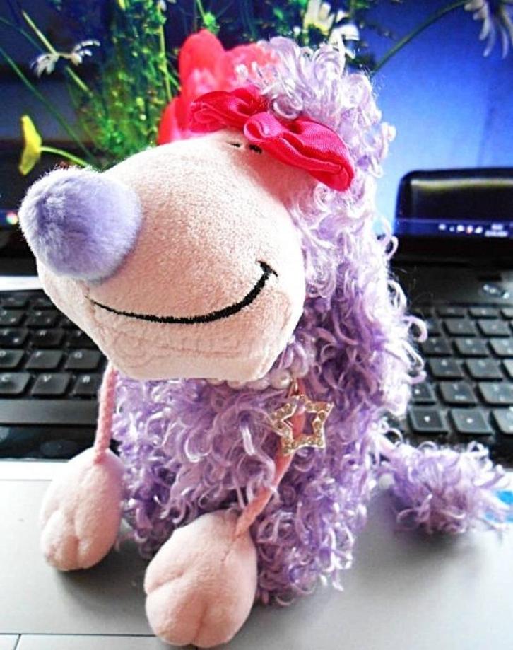 De portemonnee, pluche + sieraden voor meisjes, Handtassen en Accessoires, Portemonnees, Nieuw, Paars, Ophalen of Verzenden