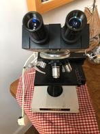 Microscoop Pleuger, Ophalen, Gebruikt