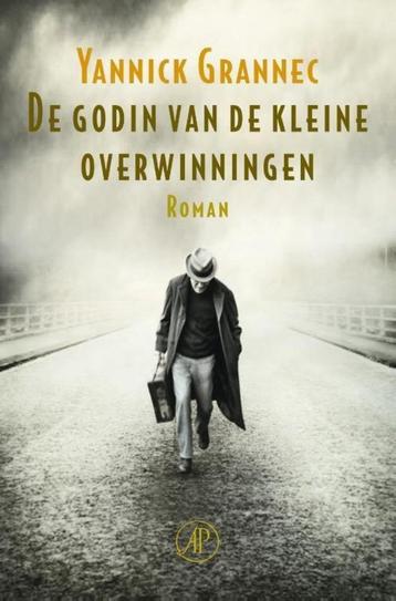 Te Koop Boek DE GODIN VAN DE KLEINE OVERWINNINGEN Y.Grannec beschikbaar voor biedingen