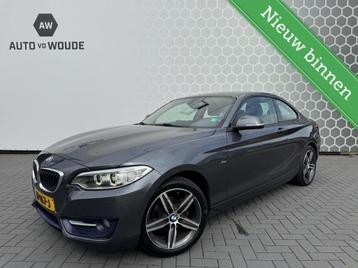 BMW 2-serie Coupé 218i M Sport Trekhaak beschikbaar voor biedingen