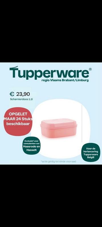 Nieuwe scharnierdozen van tupperware  beschikbaar voor biedingen