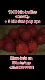 1000 kilo boilies, + 5 kilo gratis pop ups., Watersport en Boten, Hengelsport | Karpervissen, Ophalen, Nieuw, Overige typen