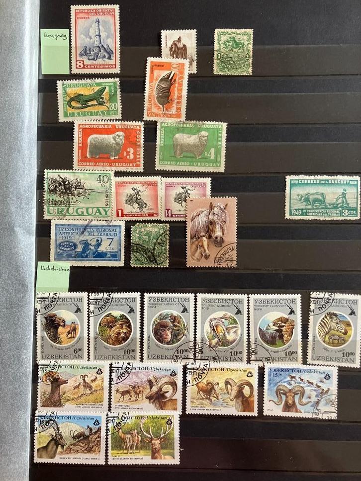 Album met 909 dierenpostzegels, Postzegels en Munten, Postzegels | Thematische zegels, Gestempeld, Dier of Natuur, Ophalen of Verzenden