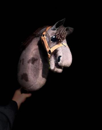 Leuke hobbyhorse beschikbaar voor biedingen