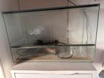 Terrarium pour Pogona – 80x40x50 cm, Enlèvement, Comme neuf