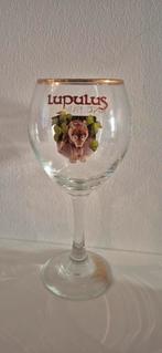 Lupulus Bierglas / Kelk met Gouden Rand (Brasserie Lupulus), Verzamelen, Ophalen