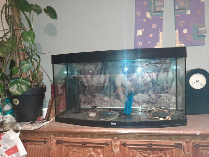 Aquarium Juwel 250L, Dieren en Toebehoren, Vissen | Aquaria en Toebehoren, Gebruikt, Leeg aquarium, Ophalen
