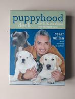 Cesar Millan - puppyhood kaarten deck 50 tips, Enlèvement ou Envoi, Comme neuf, Chiens, Cesar Millan