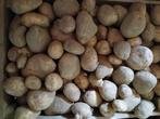 Bio aardappelen, Zakelijke goederen, Ophalen