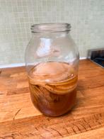 Scoby, Diversen, Ophalen