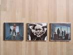 Skunk Anansie: cd-collectie, Ophalen of Verzenden, Gebruikt, Alternative