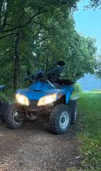 Sym quad, Motoren, 250 cc, Meer dan 35 kW, 1 cilinder