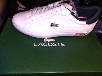 nieuwe leder Lacosta sneaker maat 40 geen namaak nu 40 euro  beschikbaar voor biedingen
