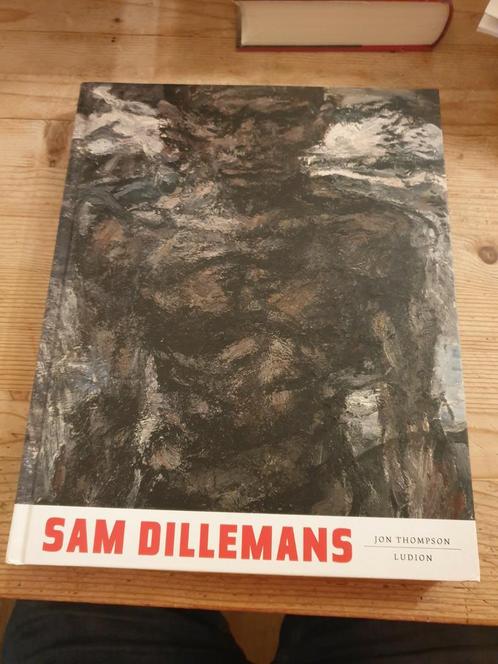 Josephiene Thompson - Sam Dillemans NL versie HC 2007, Boeken, Kunst en Cultuur | Beeldend, Zo goed als nieuw, Ophalen of Verzenden