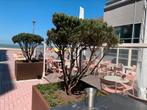 Pinus laagstam, Tuin en Terras, Planten | Bomen, Ophalen