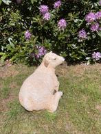 (Tuin)Beeld texel schaap lammetje, eye catcher tuin, boerder, Ophalen, Nieuw, Kunststof, Dierenbeeld