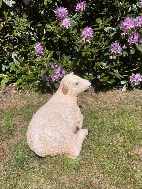 (Tuin)Beeld texel schaap lammetje, eye catcher tuin, boerder, Tuin en Terras, Tuinbeelden, Nieuw, Dierenbeeld, Kunststof, Ophalen