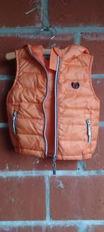 Bodywarmer met kap oranje, 12 maanden, Kinderen en Baby's, Ophalen, RIVER WOODS, Jongetje of Meisje, Zo goed als nieuw