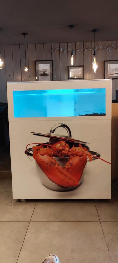 Homarium avec lumières/aquarium à homards, Articles professionnels, Horeca | Autre, Enlèvement