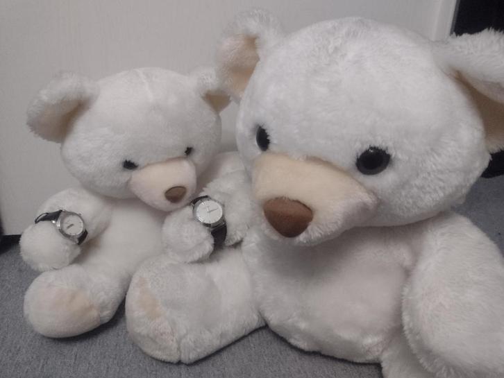 CHIC ! Montres assorties femme homme de marque Pierre Cardin, Bijoux, Sacs & Beauté, Montres | Hommes, Neuf, Autres matériaux