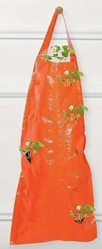 Planttas (niet gebruikt), Tuin en Terras, Ophalen of Verzenden, Nieuw