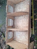 Transportbak  parkieten 15euro, Ophalen