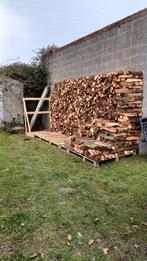 Chênes hivers 2026/2027, Enlèvement ou Envoi