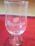 Verre « HOEGAARDEN » sur pied, Ophalen of Verzenden, Gebruikt, Bierglas