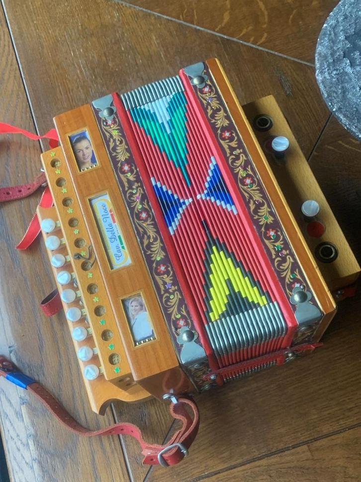 Organetto van "cav. della noce", diatonisch, Musique & Instruments, Accordéons, Utilisé, Accordéon à boutons, Autres formats, Autres marques