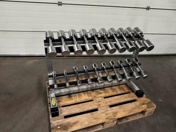 Technogym  Dumbells 1kg t/m 10kg + Technogym Opbergrek beschikbaar voor biedingen