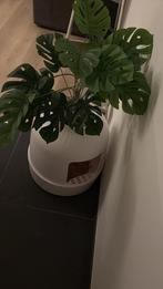 Bac à litière pour chat, Enlèvement, Comme neuf