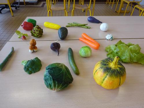 Matériel pédagogique : faux fruits, légumes et animaux, Hobby & Loisirs créatifs, Matériel scolaire, Comme neuf, Enlèvement