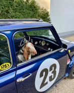 Classic Mini British Open 1993 – Grondig technisch aangepakt, Auto's, Voorwielaandrijving, Handgeschakeld, Particulier, Overige carrosserie