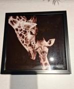 Kader giraffe, Maison & Meubles, Accessoires pour la Maison | Peintures, Dessins & Photos, Moins de 50 cm, Enlèvement ou Envoi